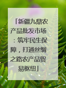 新疆九鼎农产品批发市场：筑牢民生保障，打通丝绸之路农产品贸易枢纽