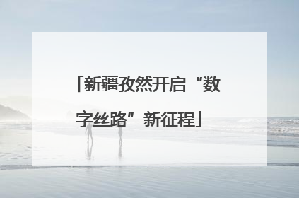 新疆孜然开启“数字丝路”新征程