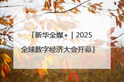 新华全媒+｜2025全球数字经济大会开幕
