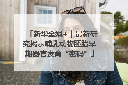 新华全媒+｜最新研究揭示哺乳动物胚胎早期器官发育“密码”