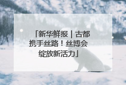 新华鲜报｜古都携手丝路！丝博会绽放新活力