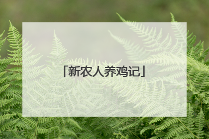新农人养鸡记