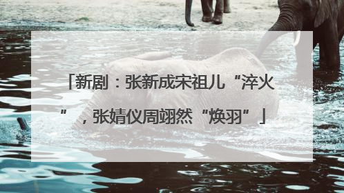 新剧：张新成宋祖儿“淬火”，张婧仪周翊然“焕羽”