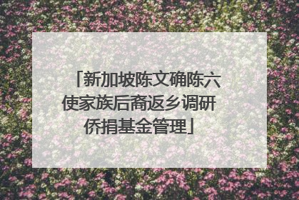 新加坡陈文确陈六使家族后裔返乡调研侨捐基金管理