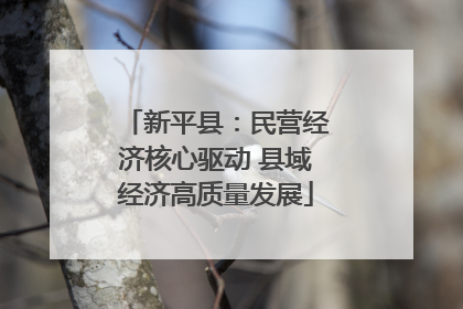 新平县：民营经济核心驱动 县域经济高质量发展