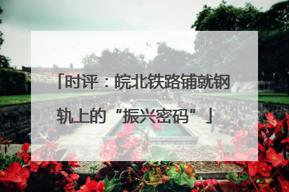 时评：皖北铁路铺就钢轨上的“振兴密码”
