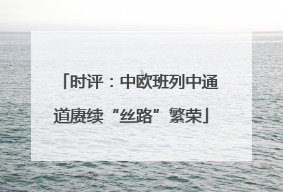 时评：中欧班列中通道赓续“丝路”繁荣