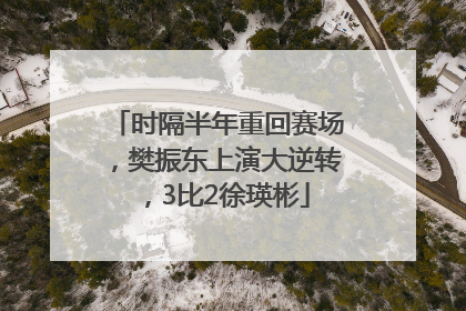 时隔半年重回赛场，樊振东上演大逆转，3比2徐瑛彬