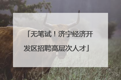 无笔试！济宁经济开发区招聘高层次人才