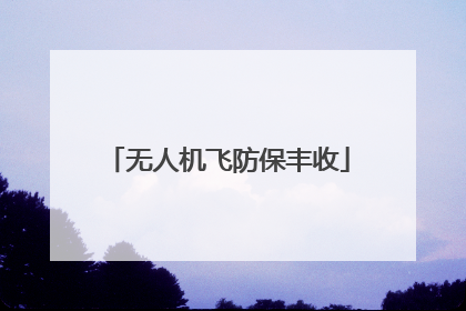 无人机飞防保丰收