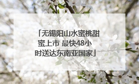 无锡阳山水蜜桃甜蜜上市 最快48小时送达东南亚国家