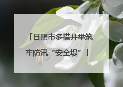 日照市多措并举筑牢防汛“安全堤”