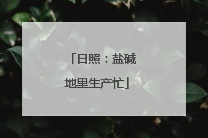 日照：盐碱地里生产忙