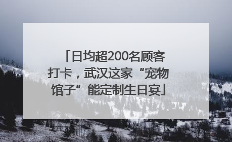 日均超200名顾客打卡，武汉这家“宠物馆子”能定制生日宴