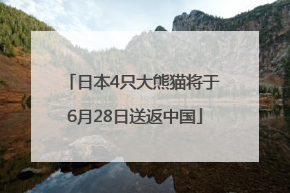 日本4只大熊猫将于6月28日送返中国