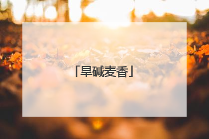 旱碱麦香