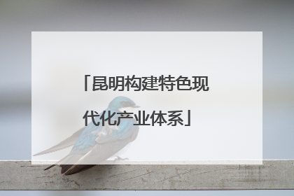 昆明构建特色现代化产业体系