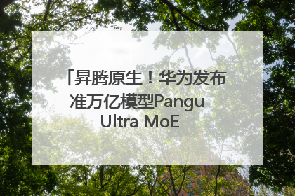 昇腾原生！华为发布准万亿模型Pangu Ultra MoE模型架构和训练细节