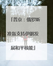 普京：俄罗斯准备支持伊朗发展和平核能