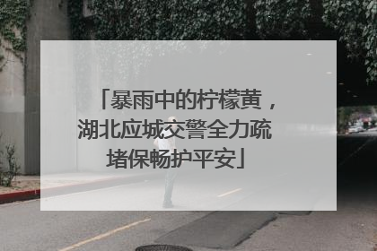 暴雨中的柠檬黄，湖北应城交警全力疏堵保畅护平安
