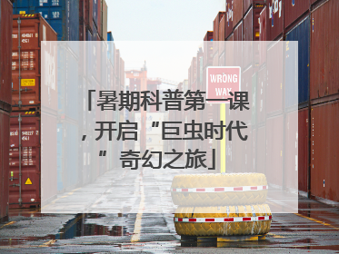 暑期科普第一课，开启“巨虫时代”奇幻之旅