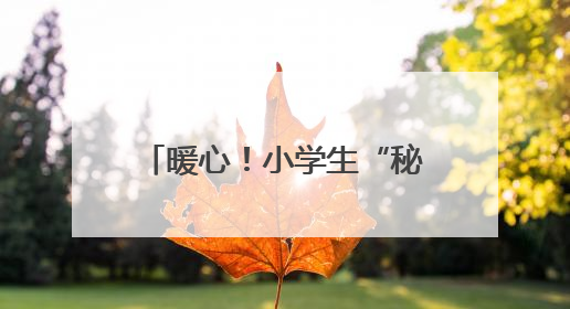 暖心！小学生“秘密”种植向日葵，赠高三学长学姐