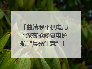 曲靖罗平供电局：深夜抢修复电护航“晨光生意”
