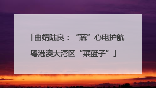 曲靖陆良：“蔬”心电护航粤港澳大湾区“菜篮子”
