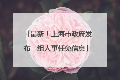 最新！上海市政府发布一组人事任免信息