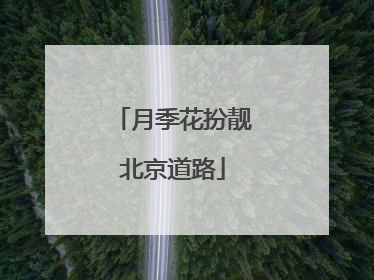 月季花扮靓北京道路