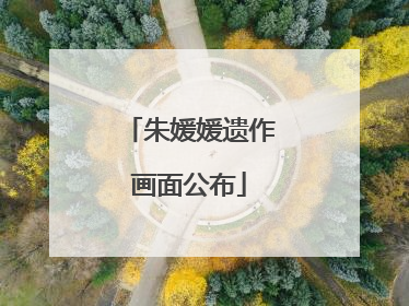 朱媛媛遗作画面公布