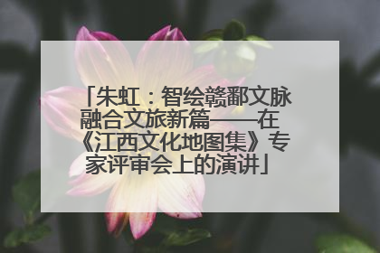 朱虹：智绘赣鄱文脉 融合文旅新篇——在《江西文化地图集》专家评审会上的演讲