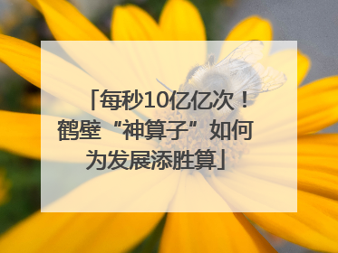 每秒10亿亿次！鹤壁“神算子”如何为发展添胜算