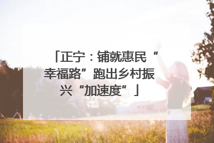 正宁：铺就惠民“幸福路”跑出乡村振兴“加速度”