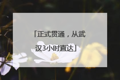 正式贯通，从武汉3小时直达