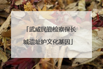 武威民勤检察保长城遗址护文化基因
