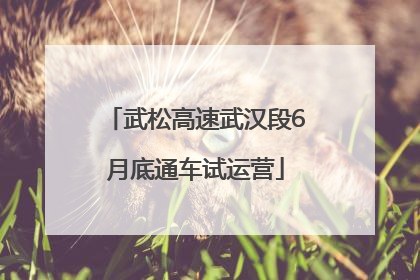 武松高速武汉段6月底通车试运营