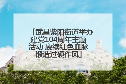 武昌紫阳街道举办建党104周年主题活动 赓续红色血脉锻造过硬作风