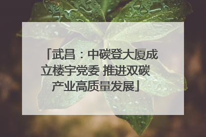 武昌：中碳登大厦成立楼宇党委 推进双碳产业高质量发展
