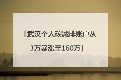 武汉个人碳减排账户从3万暴涨至160万