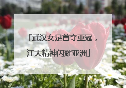 武汉女足首夺亚冠，江大精神闪耀亚洲