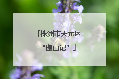 株洲市天元区“搬山记”