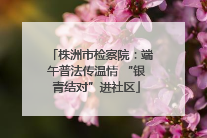 株洲市检察院：端午普法传温情 “银青结对”进社区