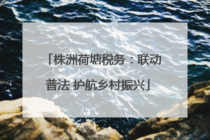 株洲荷塘税务：联动普法 护航乡村振兴