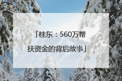 桂东：560万帮扶资金的背后故事