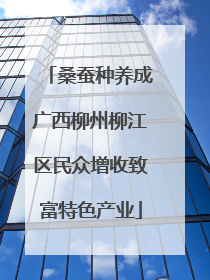 桑蚕种养成广西柳州柳江区民众增收致富特色产业