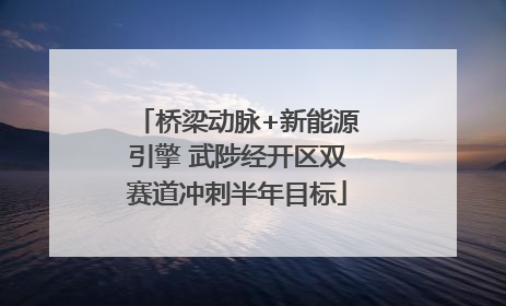 桥梁动脉+新能源引擎 武陟经开区双赛道冲刺半年目标