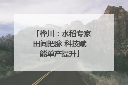 桦川：水稻专家田间把脉 科技赋能单产提升