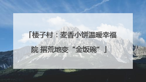 楼子村：麦香小饼温暖幸福院 撂荒地变“金饭碗”