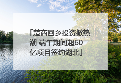 楚商回乡投资掀热潮 端午期间超60亿项目签约湖北